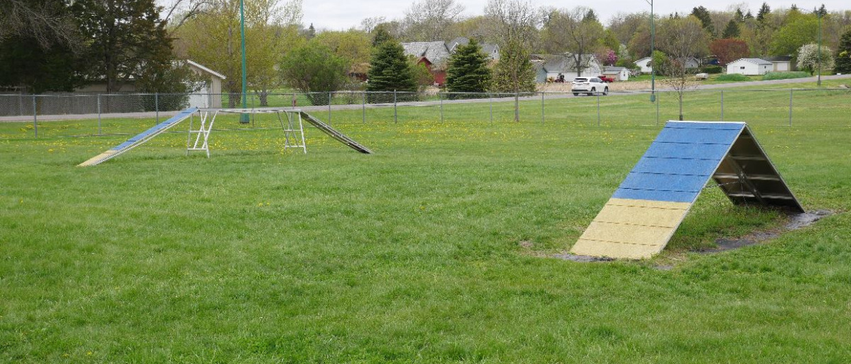 Watertown Dog Park