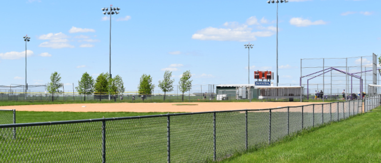Foundation Fields
