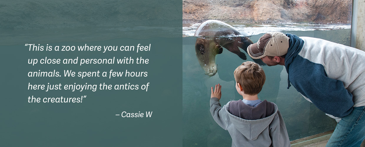 Bramble park zoo review graphic